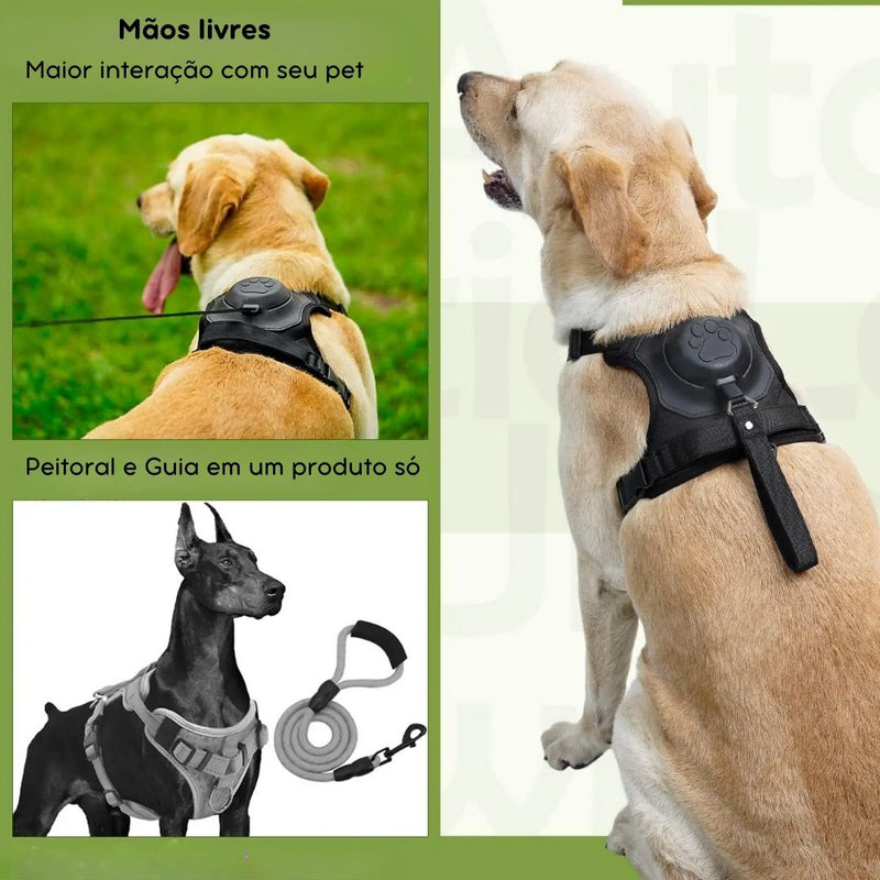Coleira com Guia Embutida para Pets – Prática e Segura para Passeios