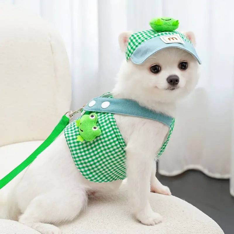 Boné e Peitoral de Luxo para Pets – Estilo e Conforto em Passeios