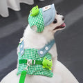 Boné e Peitoral de Luxo para Pets – Estilo e Conforto em Passeios