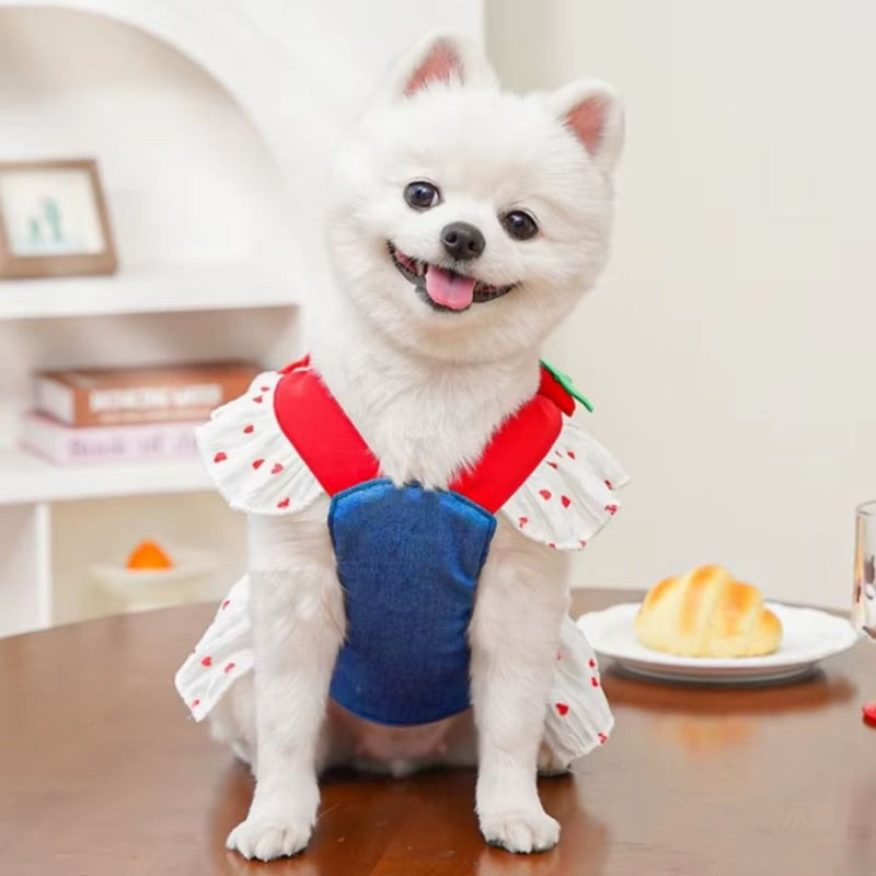 Coleira Peitoral com Saia para Cães e Gatos Pequenos – Estilo e Segurança