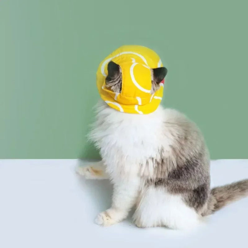 Chapéu de Sol para Pets – Proteção UV e Estilo para Cães e Gatos
