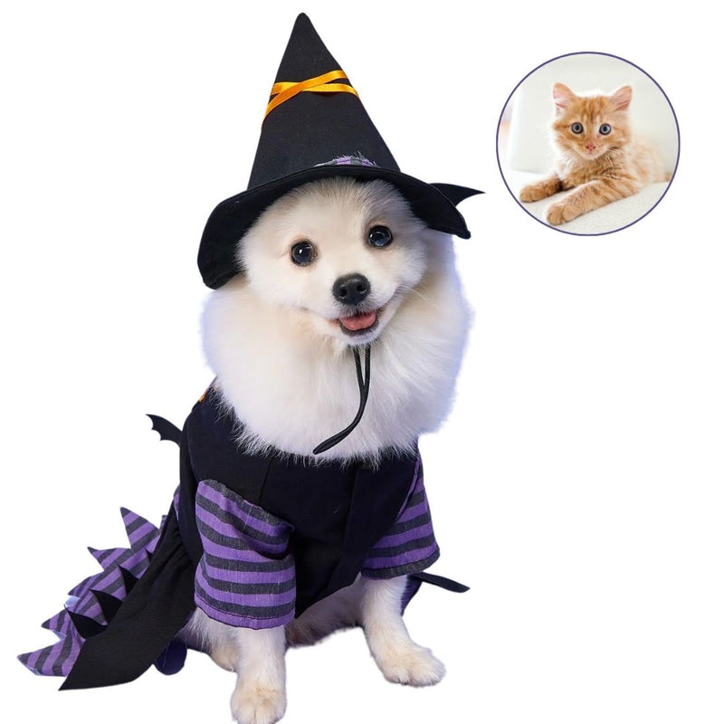Fantasia de Bruxa para Cães e Gatos