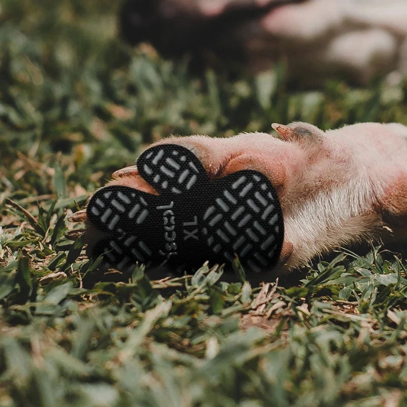 Protetor Antiderrapante para Patas de Pets: Segurança em Ambientes Escorregadios