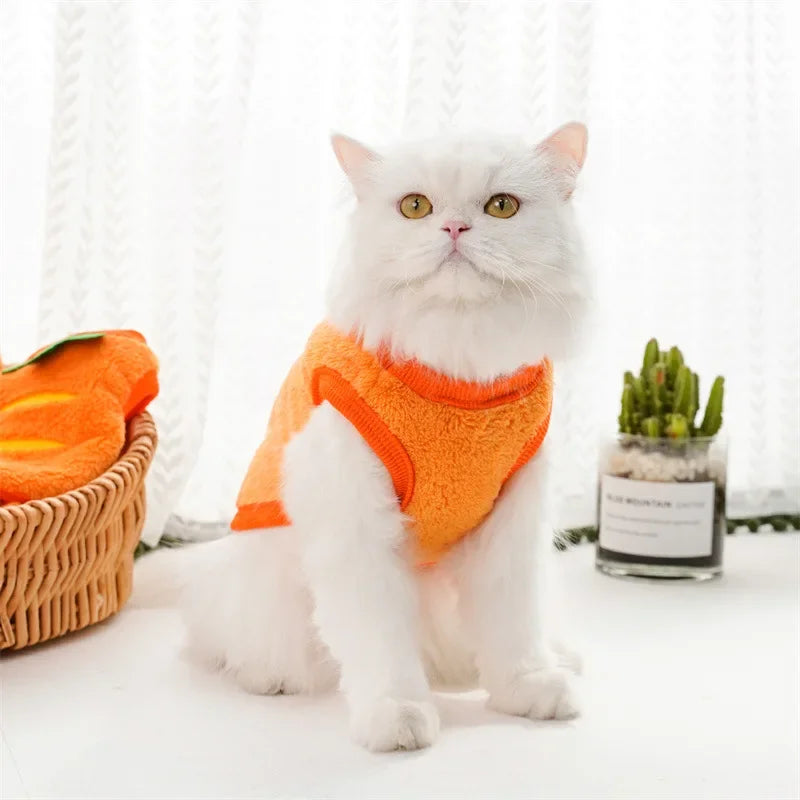 Fantasia de Cenoura para Cães e Gatos