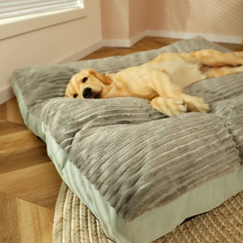 Cama Pet Grande Kansas
